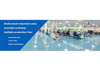 What capabilities must outstanding motorized ball valve manufacturers possess?