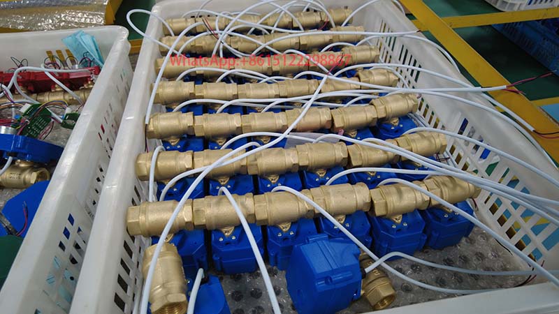 Brass Motorized Ball Valve 12V 24V 110V