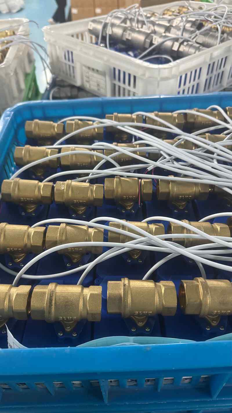 2-Way Brass Motorized Ball Valve