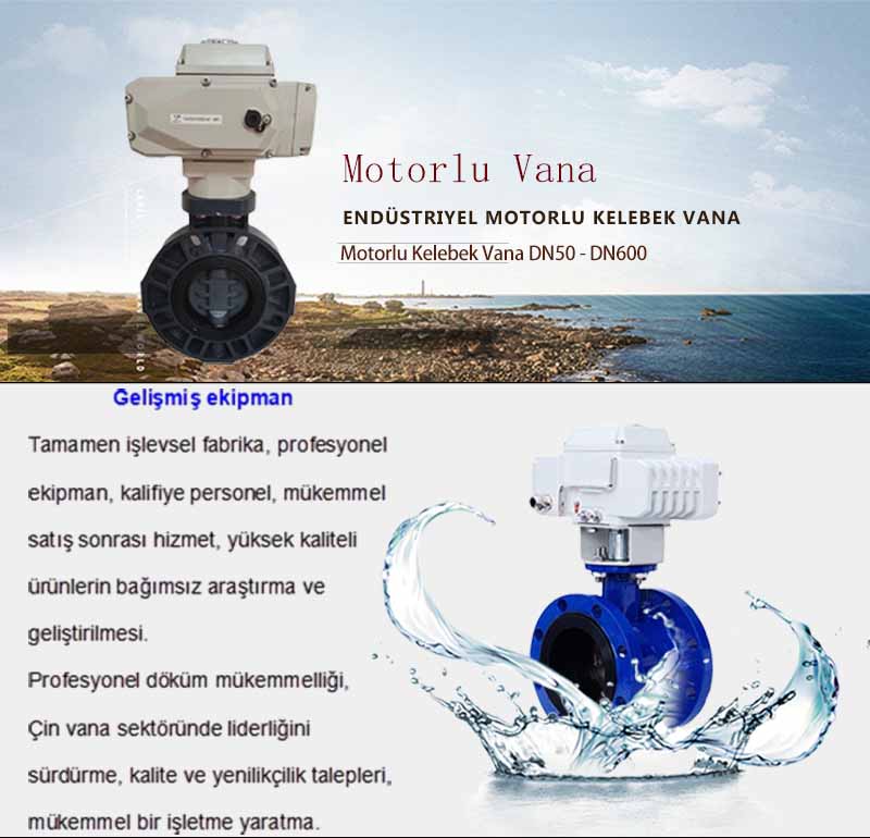 Motorlu Kelebek Vana