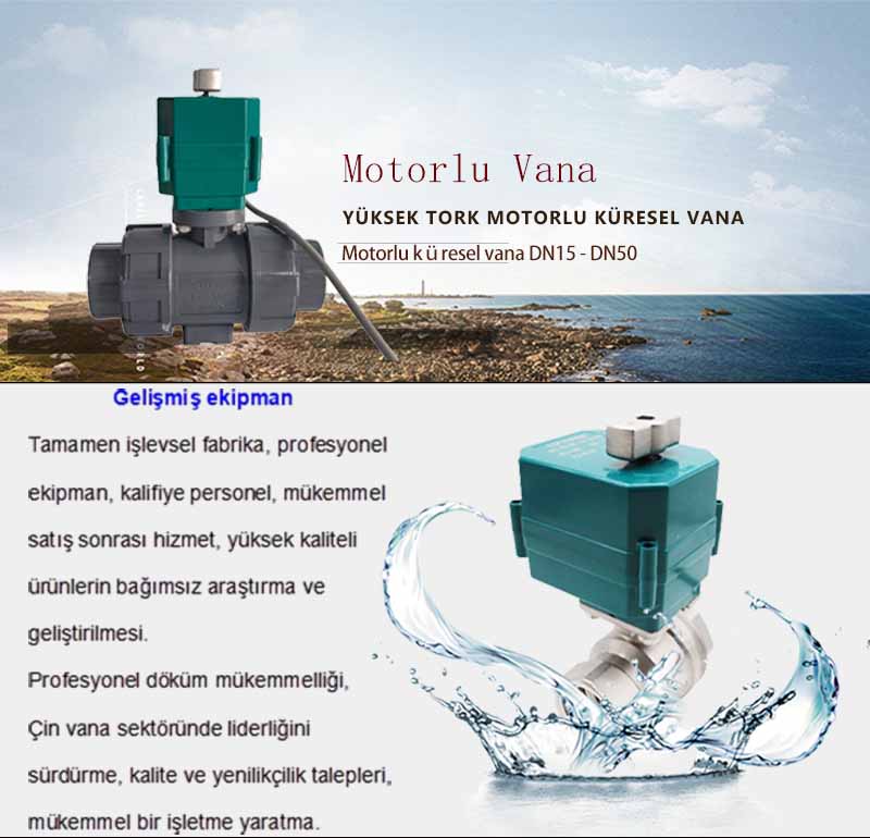 1 inç Tahrikli Küresel Vana