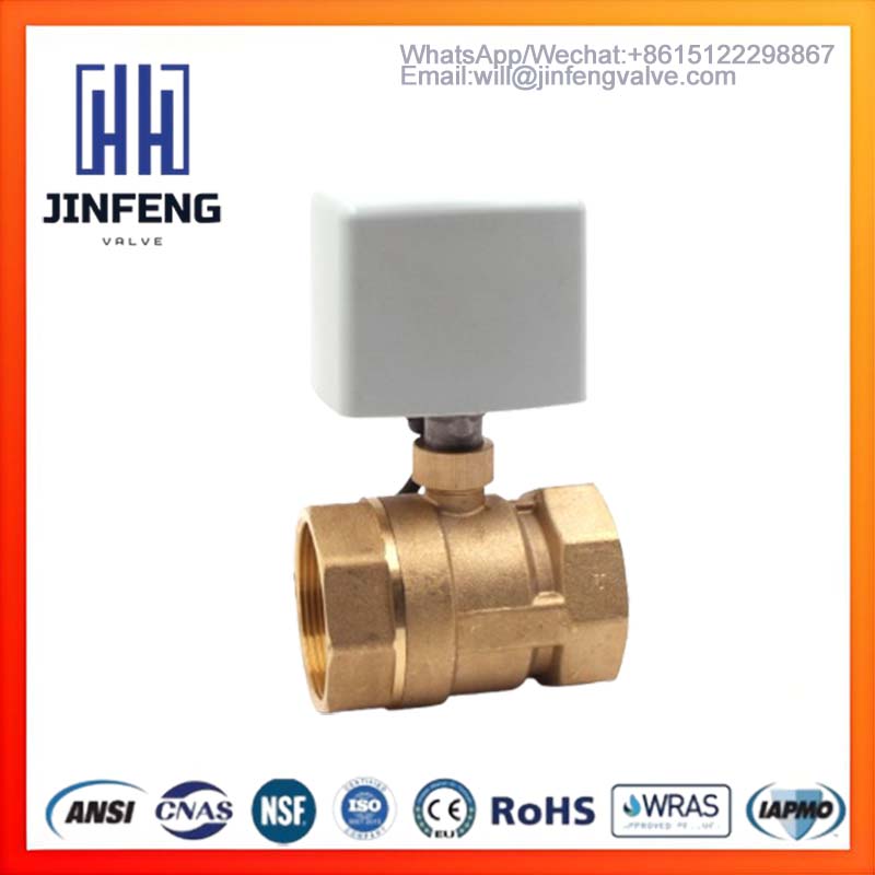 220V Quick-Disconnect Motorized Ball Valve
