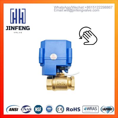 Electric Ball Valve with Manual Override | Brass 2-Way 1