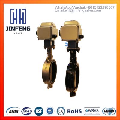 Butterfly Valve,Cast Iron Valve,Flanged butterfly valve,High-Torque Electric Actuator,Industrial motorized valve,Large-diameter motorized valve,Stainless Steel Valve,UPVC Valve